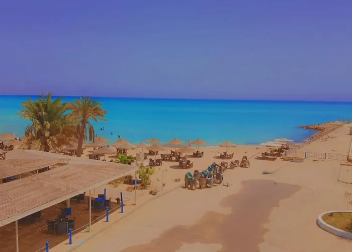 Amigo - Ain Sukhna